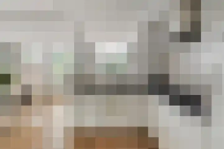 Generaal van Dedemlaan 3 Eindhoven thumbnail 10