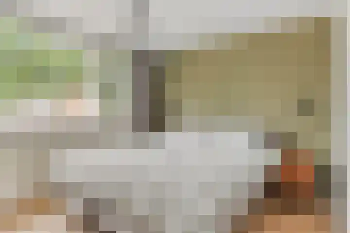 Generaal van Dedemlaan 3 Eindhoven thumbnail 14