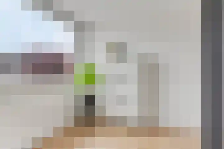 Generaal van Dedemlaan 3 Eindhoven thumbnail 17