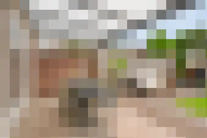 Generaal van Dedemlaan 3 Eindhoven thumbnail 26