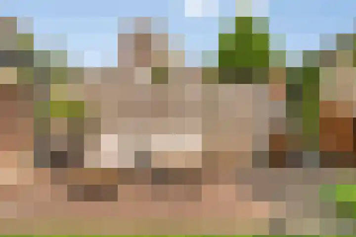 Generaal van Dedemlaan 3 Eindhoven thumbnail 27