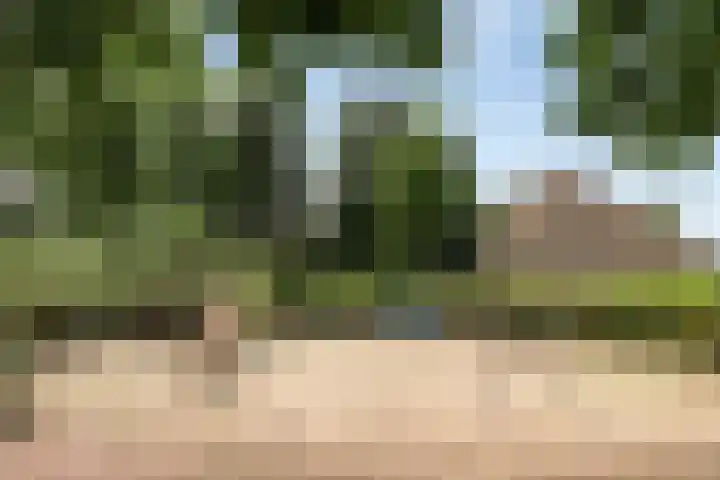 Generaal van Dedemlaan 3 Eindhoven thumbnail 31