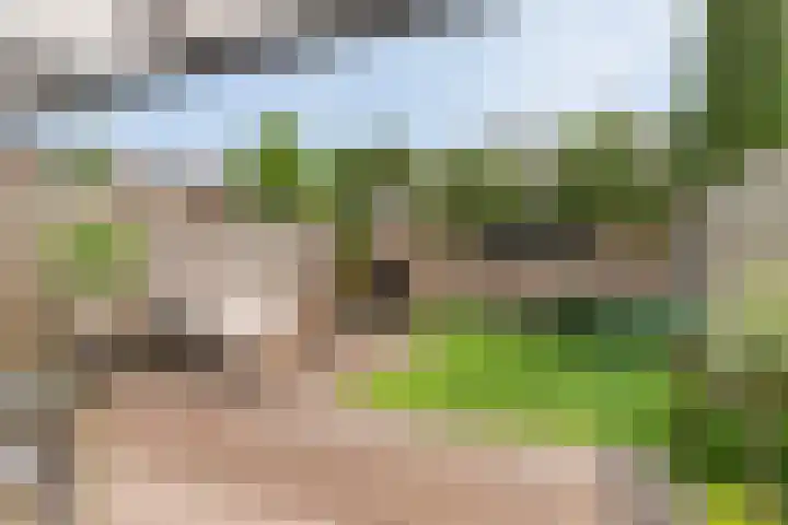 Generaal van Dedemlaan 3 Eindhoven thumbnail 5