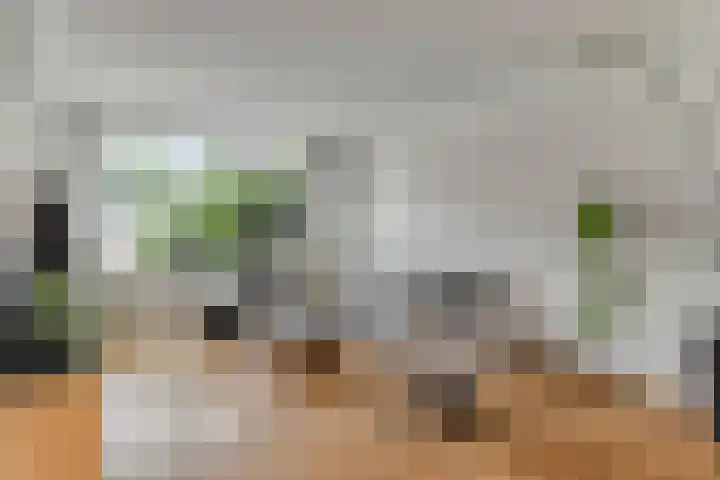 Generaal van Dedemlaan 3 Eindhoven thumbnail 6