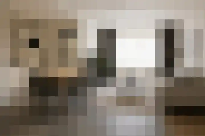 Generaal van Dedemlaan 37 Eindhoven thumbnail 12
