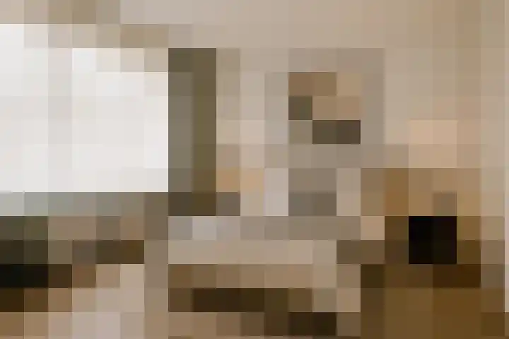 Generaal van Dedemlaan 37 Eindhoven thumbnail 18