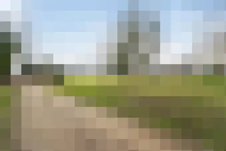 Generaal van Dedemlaan 37 Eindhoven thumbnail 28