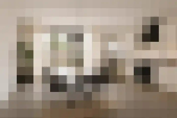Generaal van Dedemlaan 37 Eindhoven thumbnail 4
