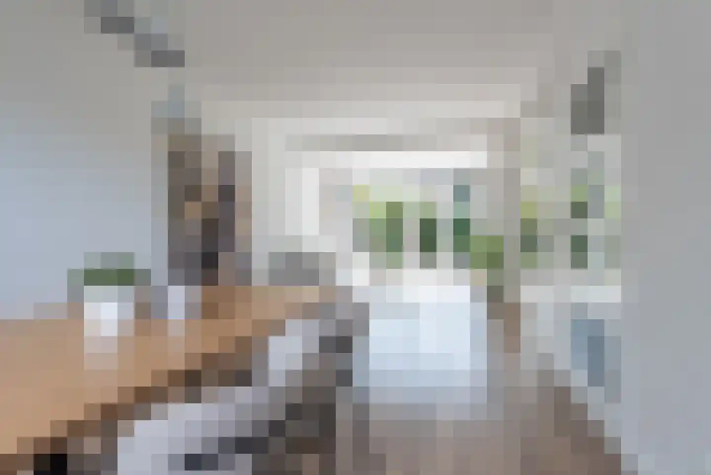 Generaal van Dedemlaan 45 Eindhoven thumbnail 24
