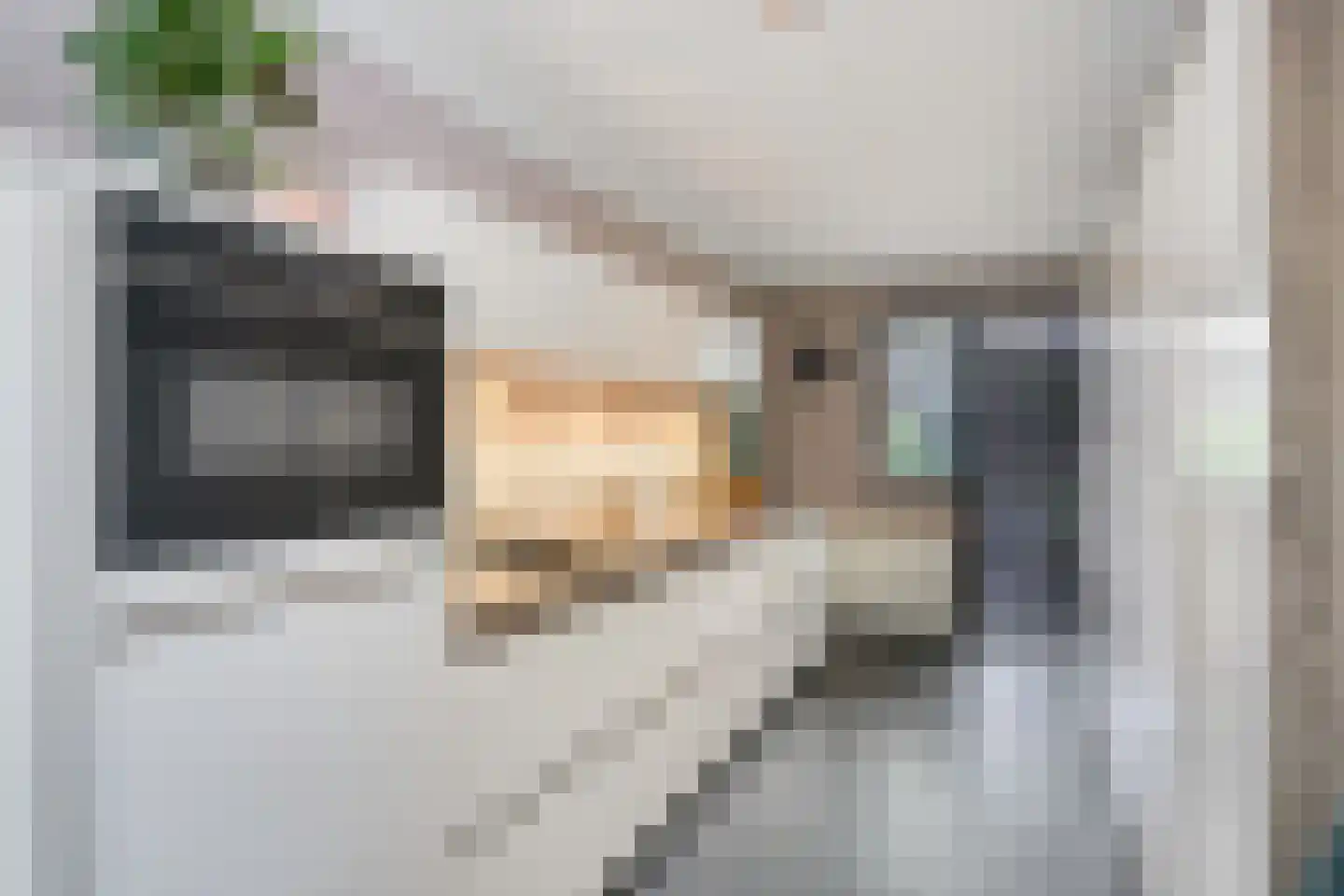Generaal van Dedemlaan 59 Eindhoven thumbnail 13