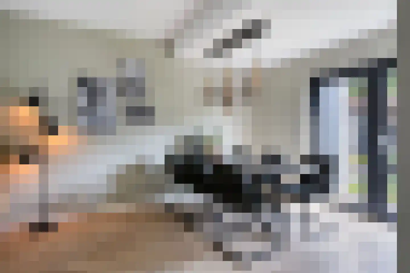 Generaal van Dedemlaan 59 Eindhoven thumbnail 8