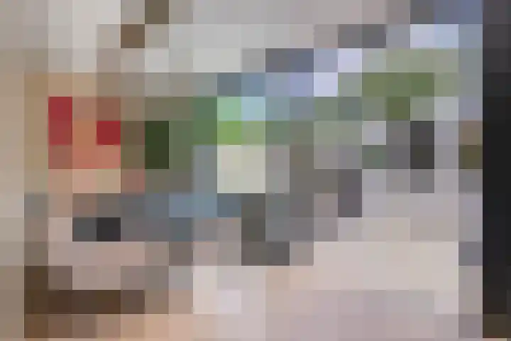 Generaal van Dedemlaan 6 Eindhoven thumbnail 13