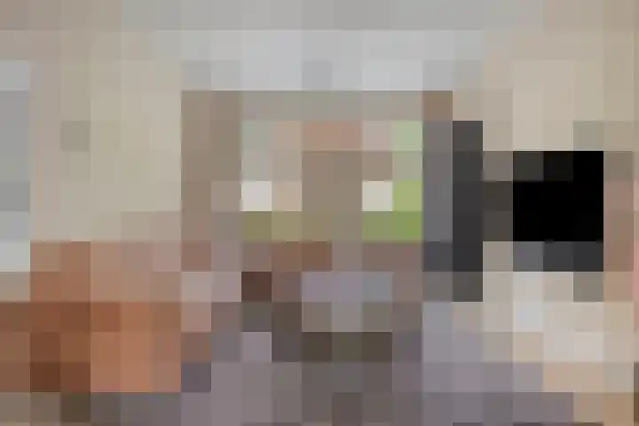 Generaal van Dedemlaan 6 Eindhoven thumbnail 14