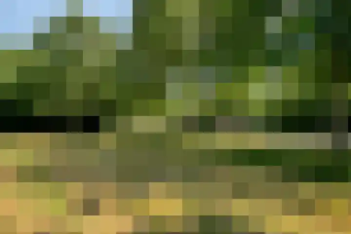 Generaal van Dedemlaan 6 Eindhoven thumbnail 39