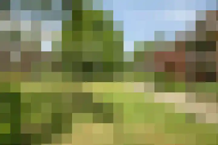 Generaal van Dedemlaan 6 Eindhoven thumbnail 4