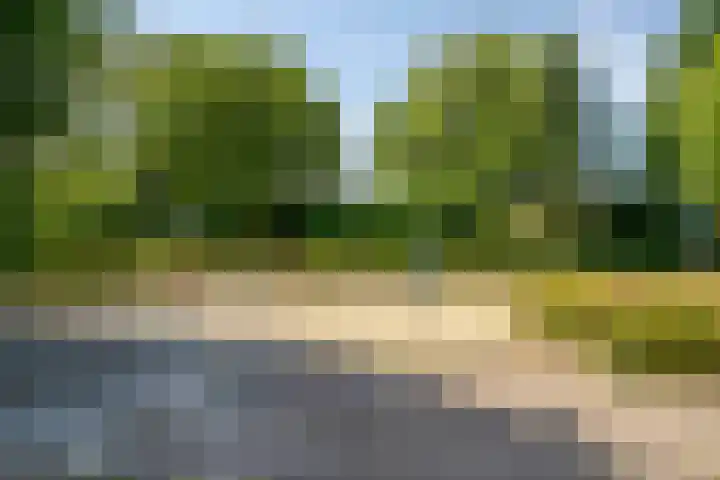 Generaal van Dedemlaan 6 Eindhoven thumbnail 40