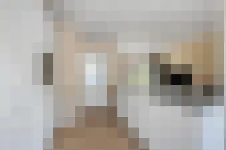 Generaal van Dedemlaan 6 Eindhoven thumbnail 9