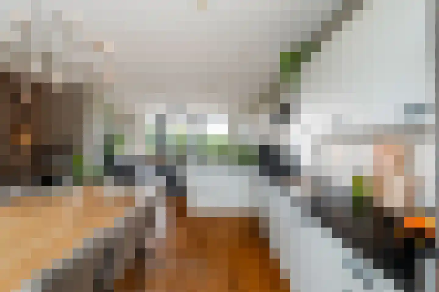 Generaal van der Heijdenstraat 19 Rotterdam thumbnail 13