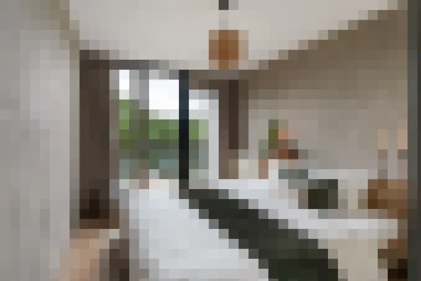 Generaal van der Heijdenstraat 19 Rotterdam thumbnail 5