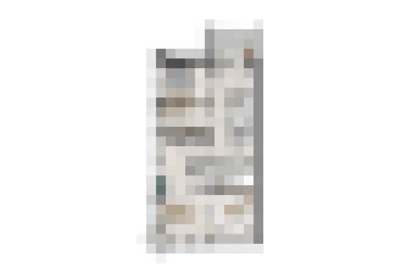 Generaal van der Heijdenstraat 38 Dordrecht thumbnail 8