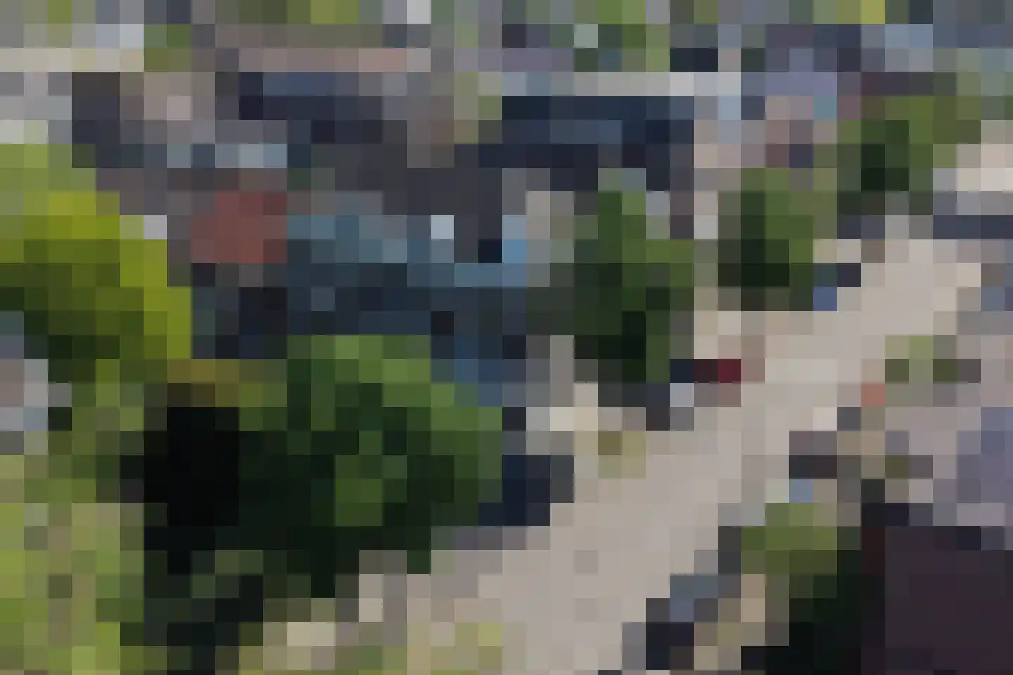Generaal van der Heijdenstraat 40 Dordrecht thumbnail 5