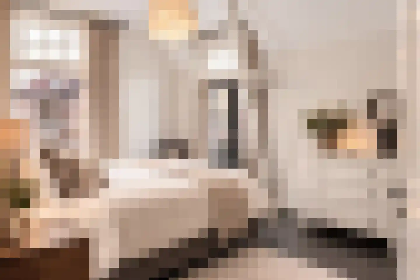 Generaal Van der Heydenlaan 1 Apeldoorn thumbnail 20