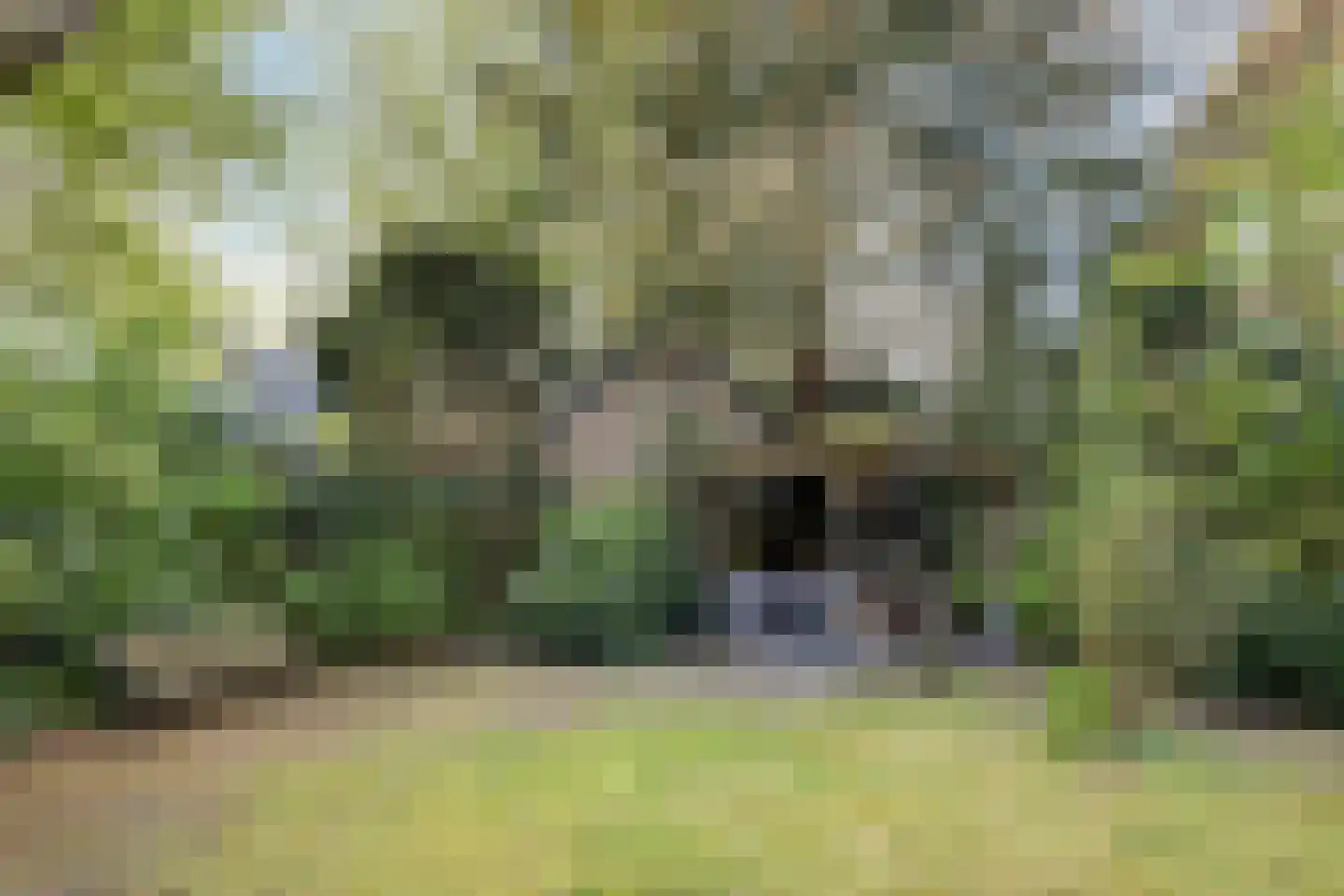 Generaal Van der Heydenlaan 10 Apeldoorn thumbnail 27