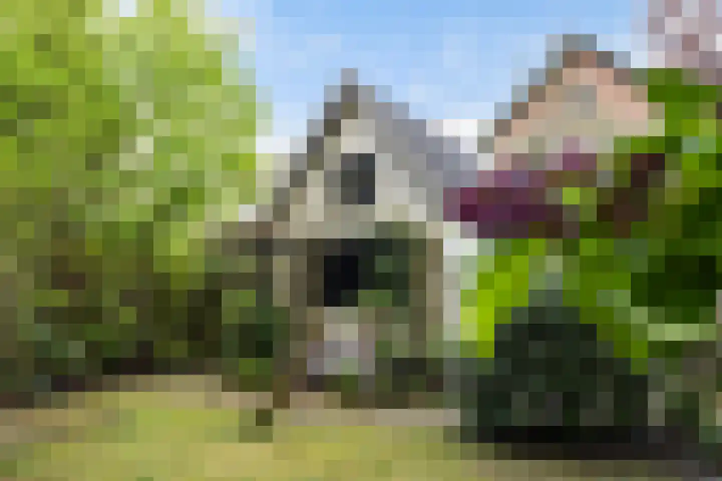 Generaal Van der Heydenlaan 10 Apeldoorn thumbnail 31