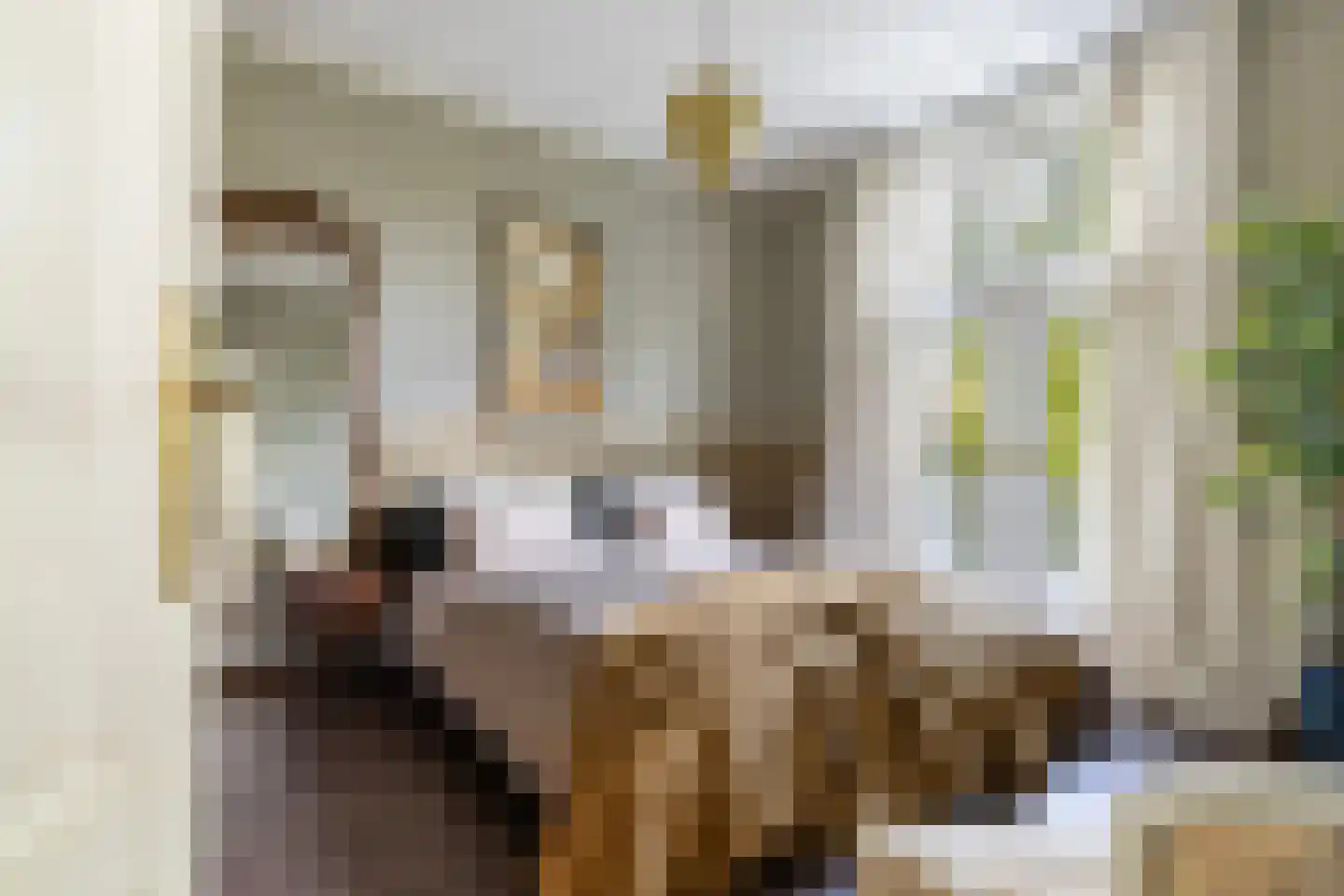 Generaal Van der Heydenlaan 10 Apeldoorn thumbnail 41