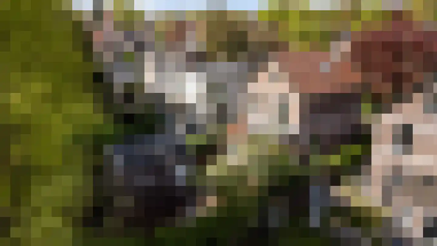 Generaal Van der Heydenlaan 10 Apeldoorn thumbnail 60