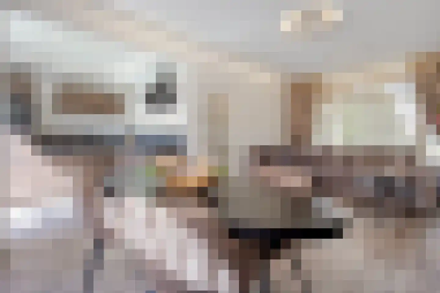 Generaal van der Leythenlaan 17 Eindhoven thumbnail 13
