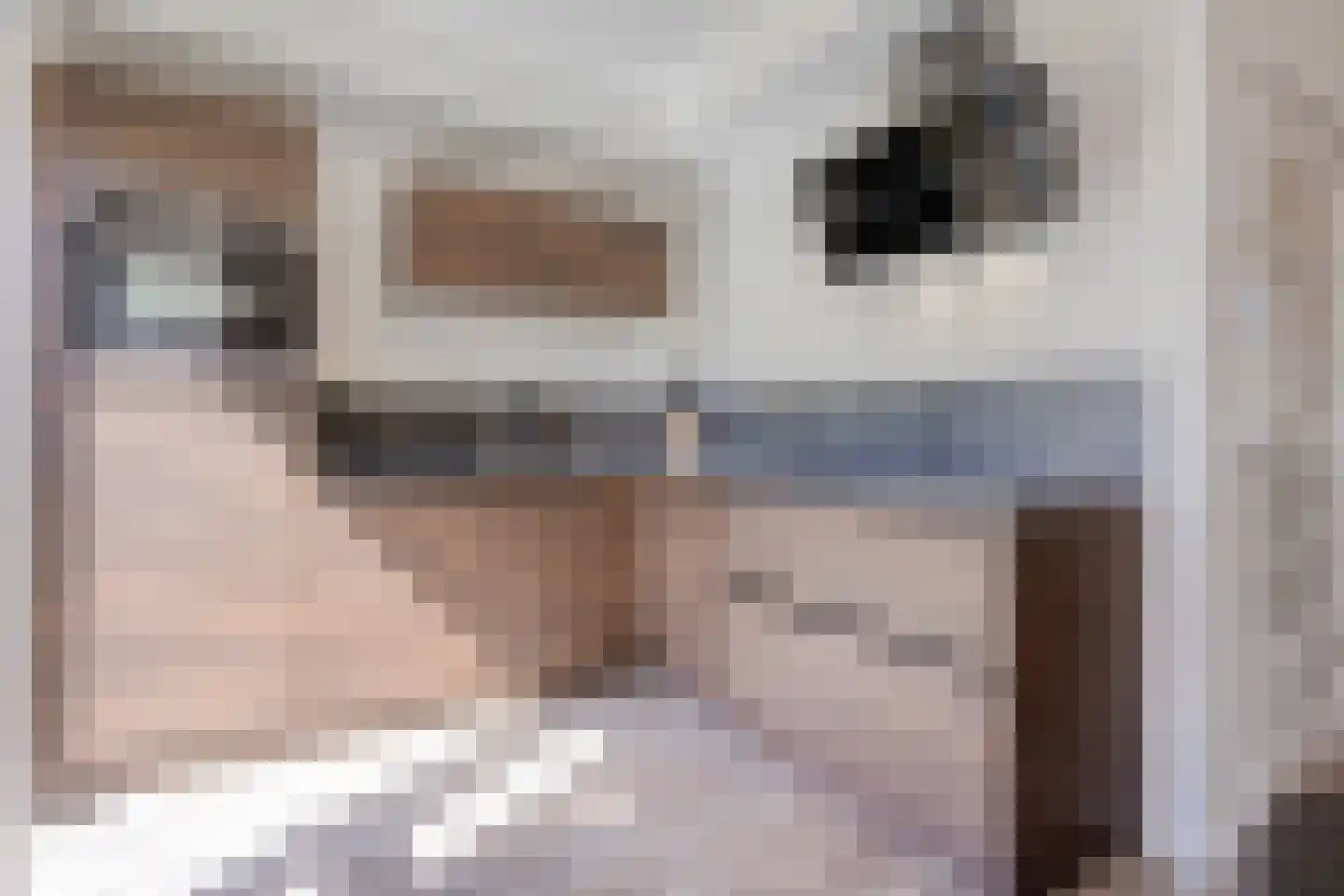 Generaal van der Leythenlaan 17 Eindhoven thumbnail 18