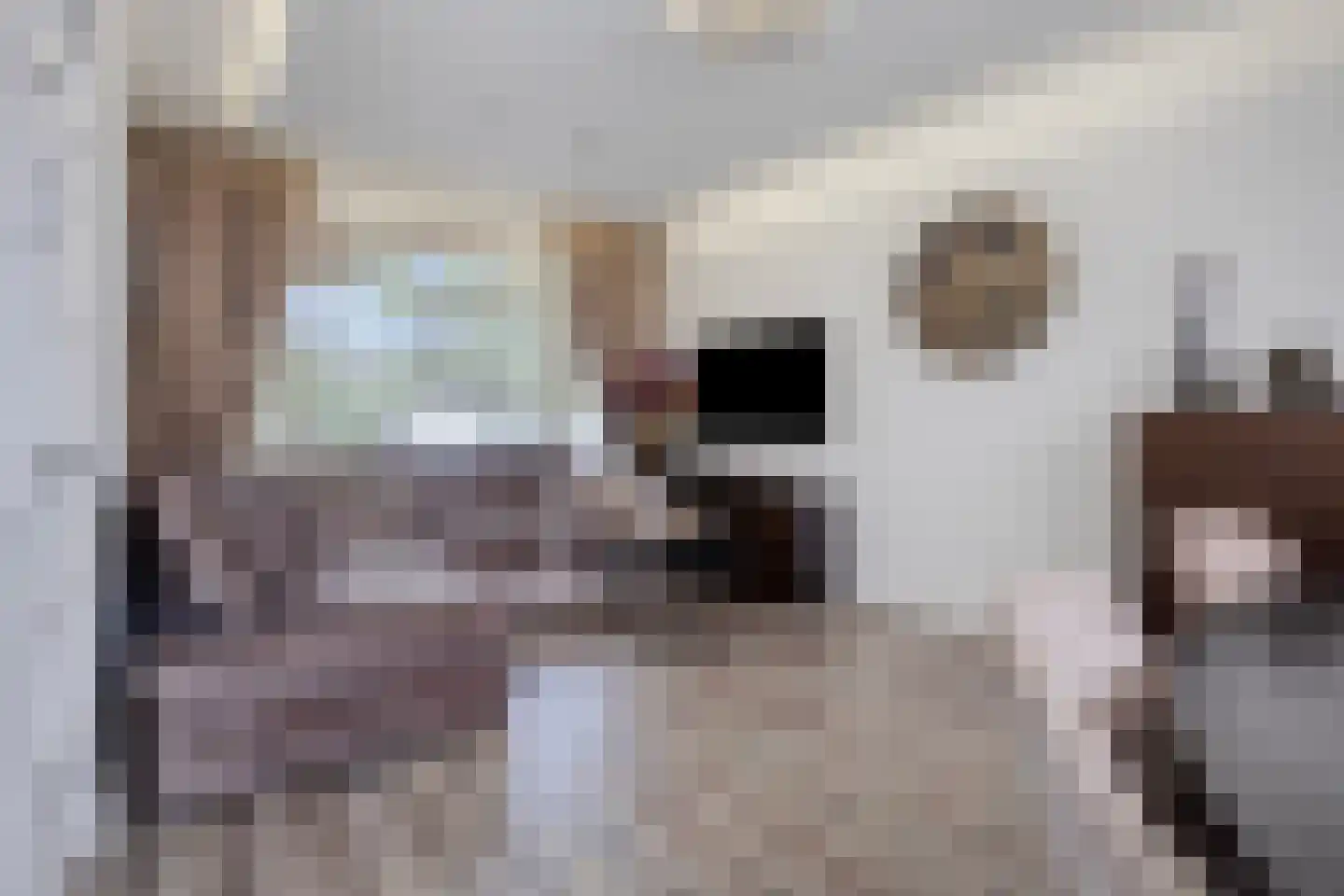 Generaal van der Leythenlaan 17 Eindhoven thumbnail 9
