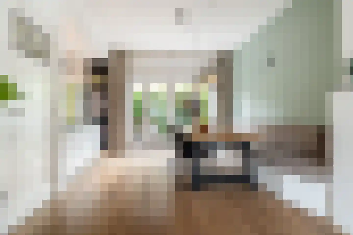 Generaal van der Plaatstraat 15 Breda thumbnail 18