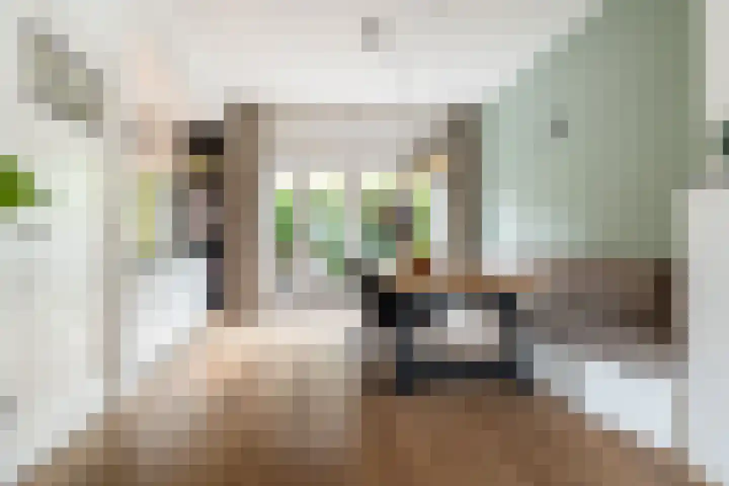 Generaal van der Plaatstraat 15 Breda thumbnail 20