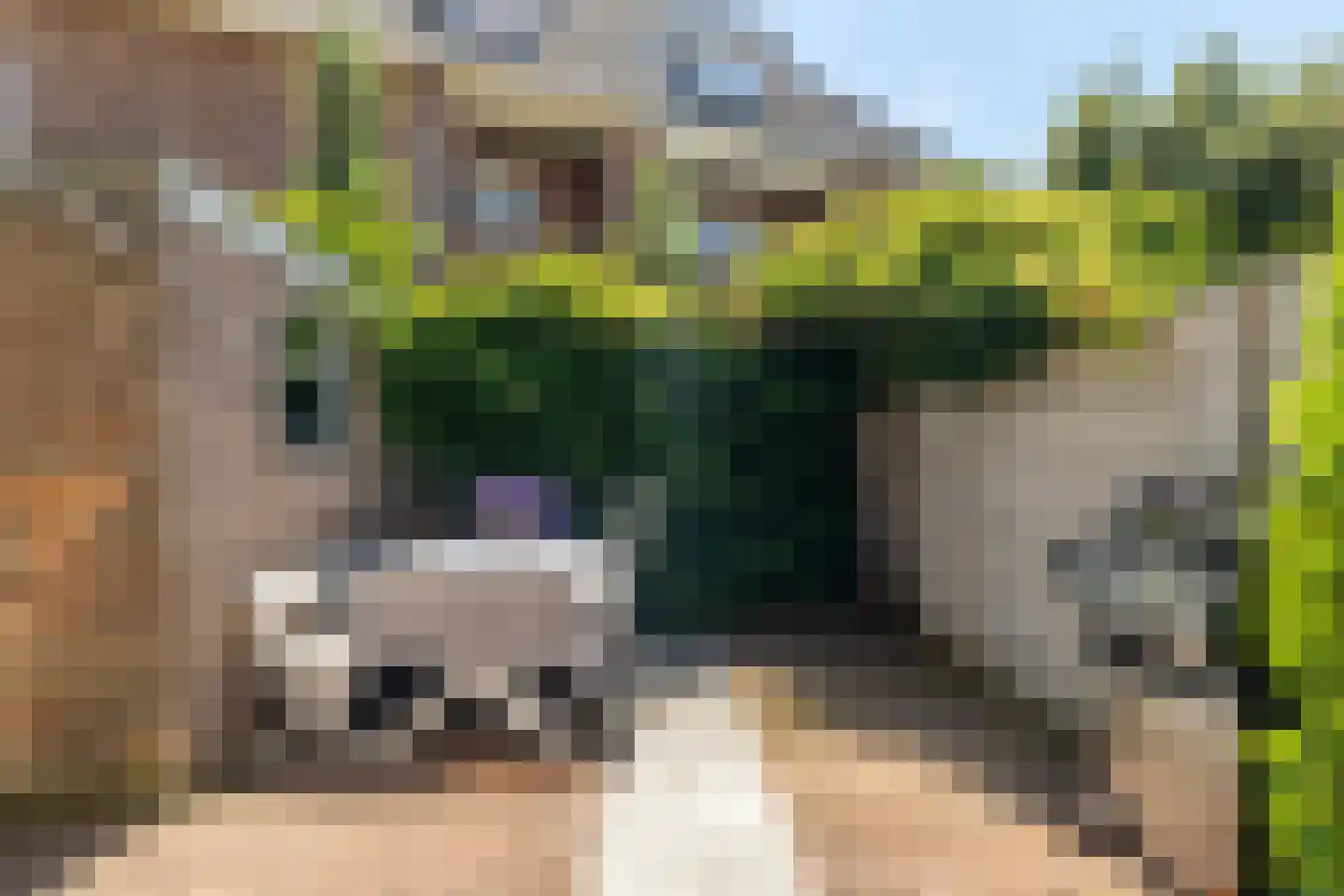 Generaal van der Plaatstraat 15 Breda thumbnail 29