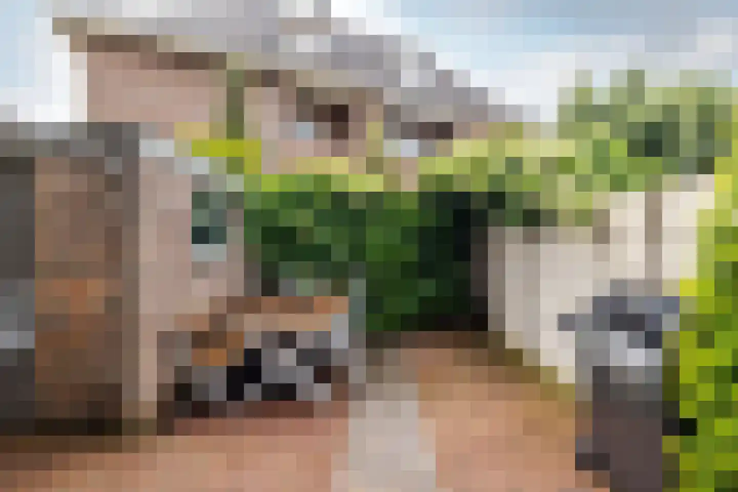 Generaal van der Plaatstraat 15 Breda thumbnail 29