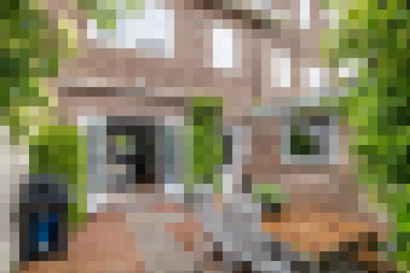 Generaal van der Plaatstraat 15 Breda thumbnail 31
