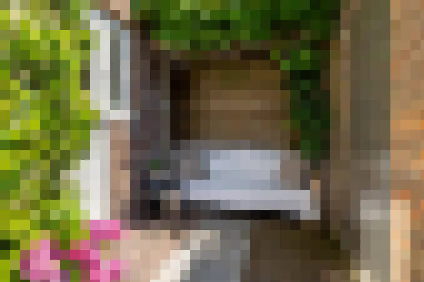 Generaal van der Plaatstraat 15 Breda thumbnail 32
