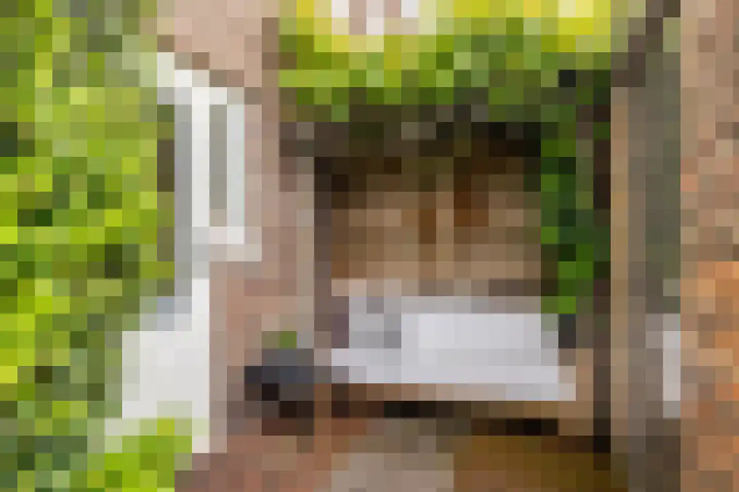 Generaal van der Plaatstraat 15 Breda thumbnail 32