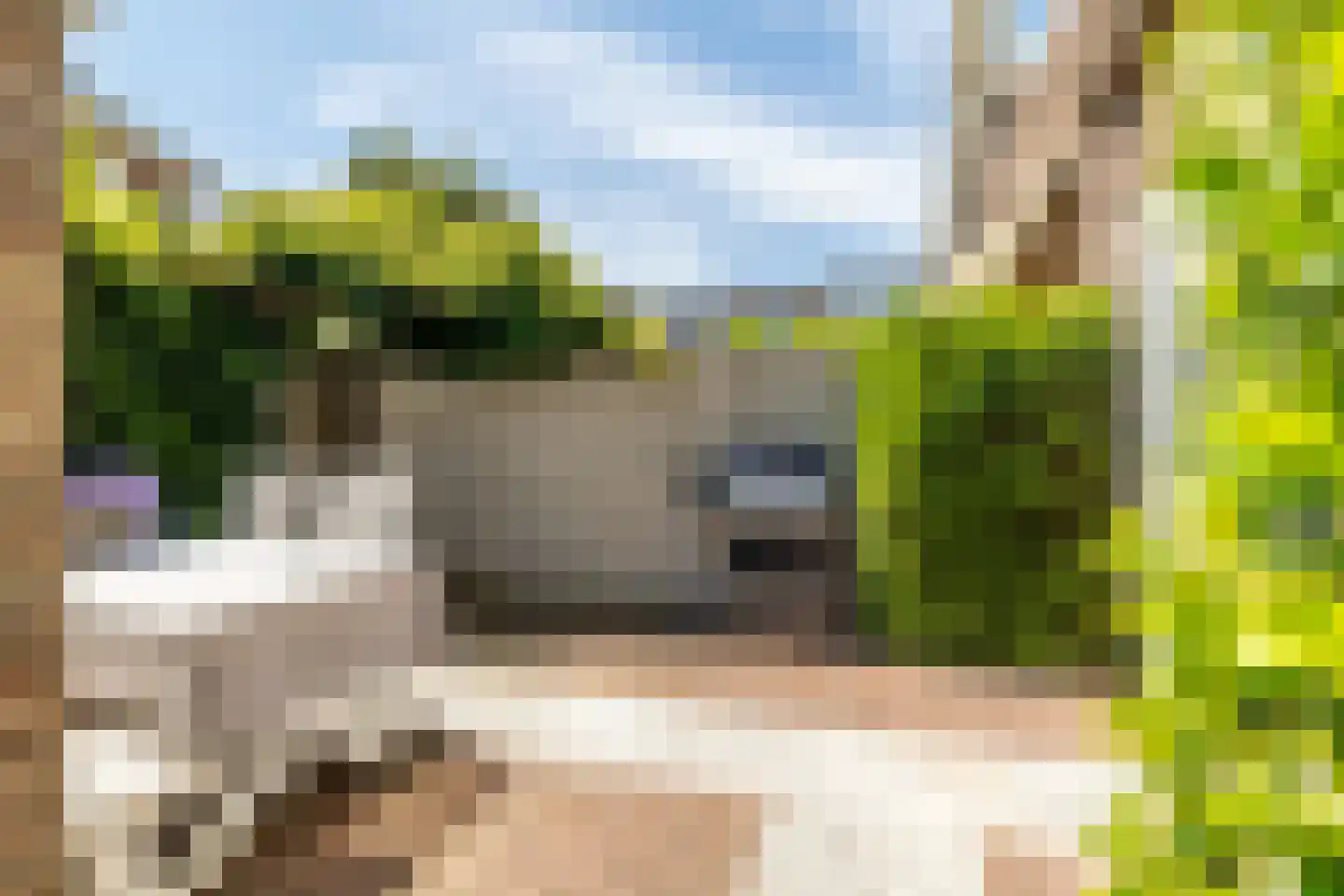 Generaal van der Plaatstraat 15 Breda thumbnail 33