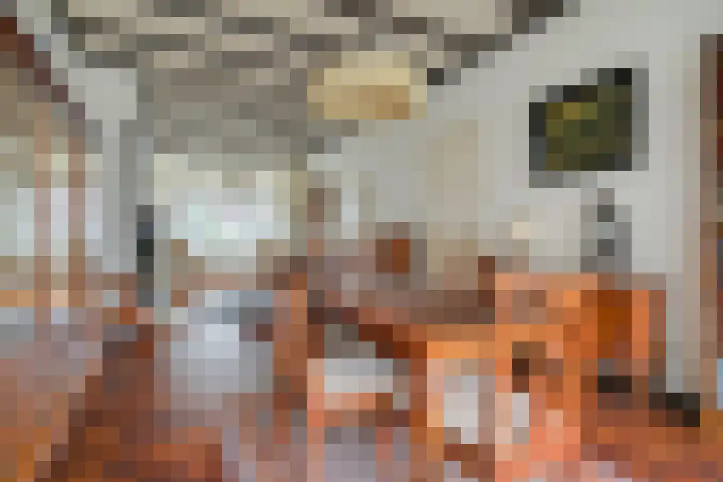 Generaal van der Plaatstraat 34 Breda thumbnail 20