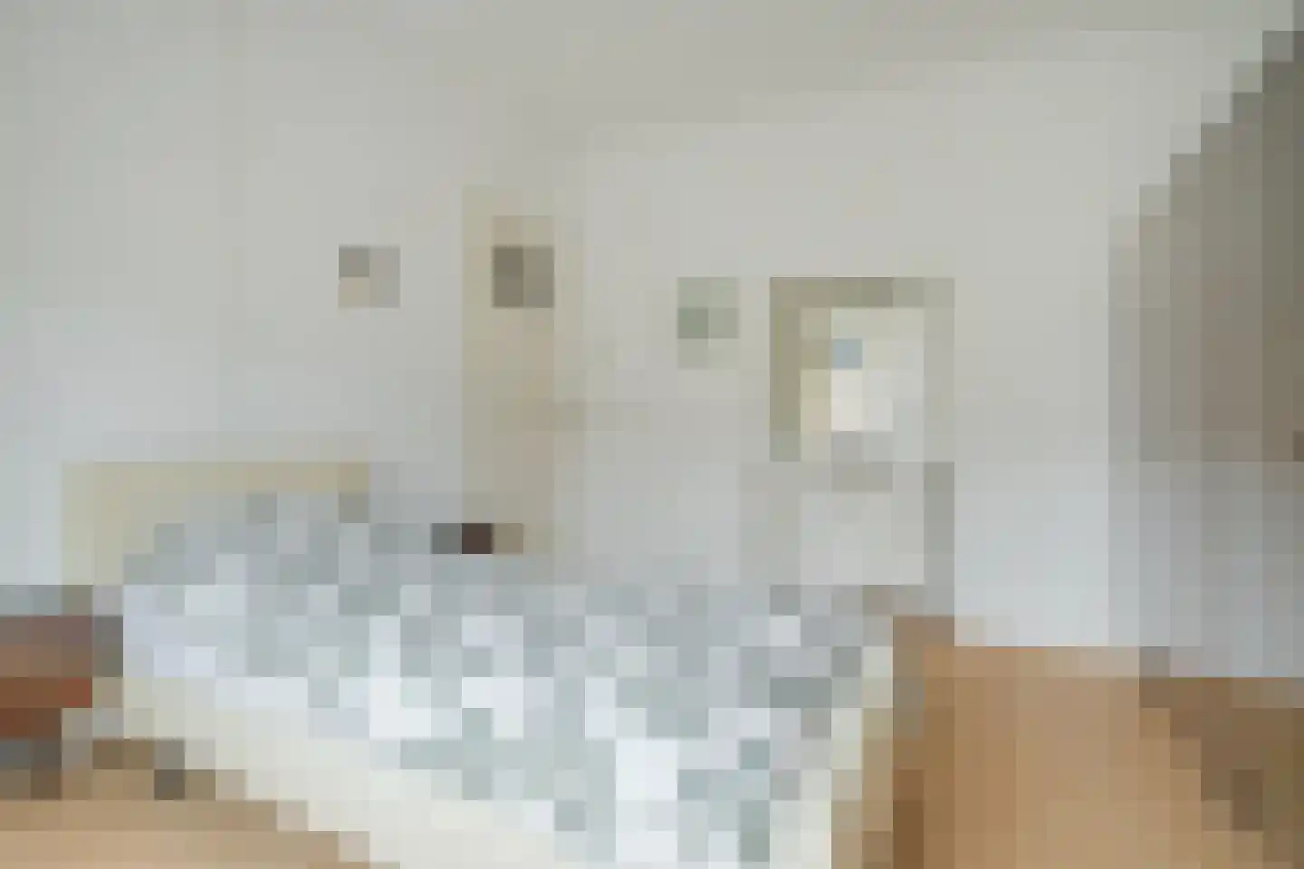 Generaal van der Plaatstraat 34 Breda thumbnail 33