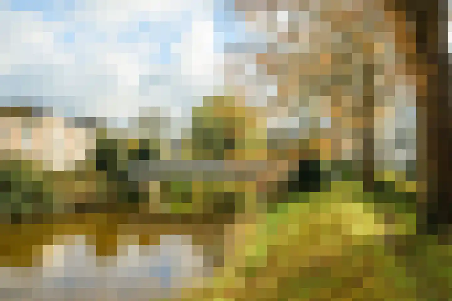 Generaal van der Plaatstraat 34 Breda thumbnail 58