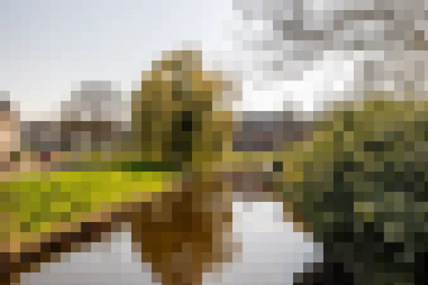 Generaal van der Plaatstraat 6 Breda thumbnail 47