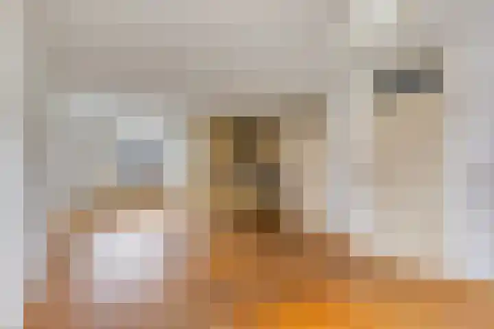 Generaal van Geenlaan 48 Eindhoven thumbnail 5