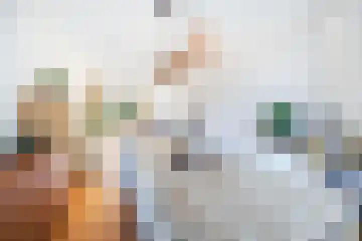 Generaal van Geenplein 10 Rijswijk thumbnail 11