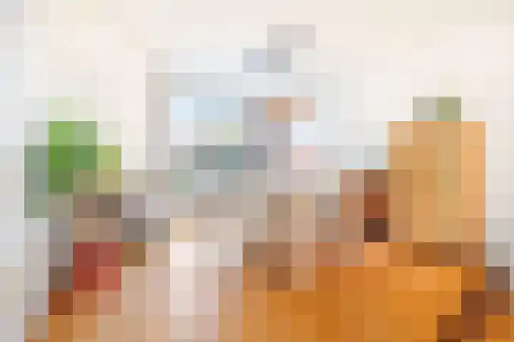 Generaal van Geenplein 10 Rijswijk thumbnail 9