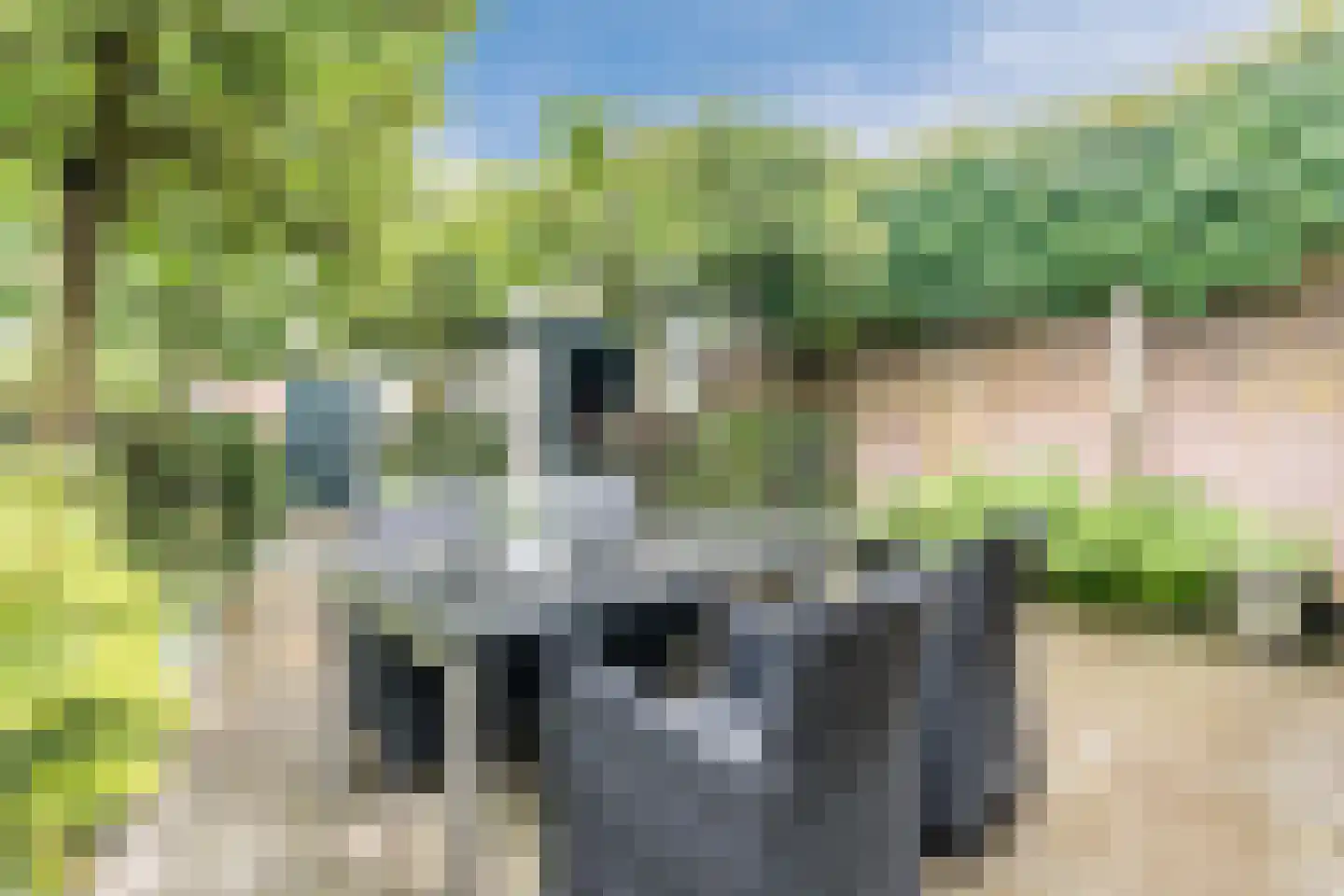 Generaal van Haersoltelaan 32 Eindhoven thumbnail 4