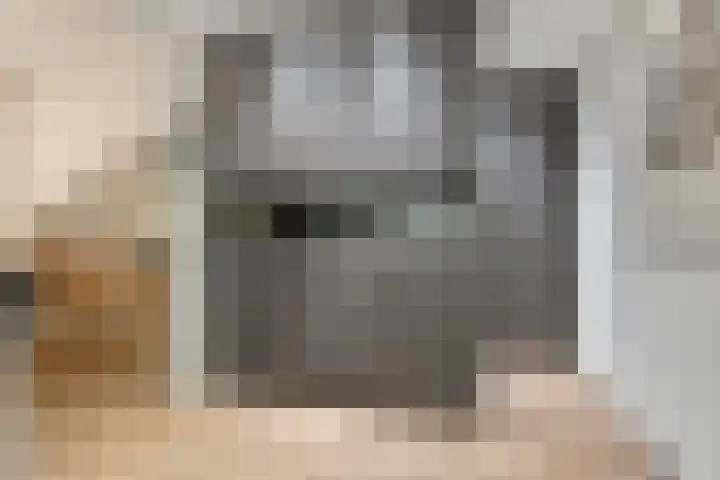 Generaal van Hamsingel 8 Breda thumbnail 13